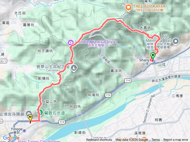 山佳鶯歌縱走百年大榕樹