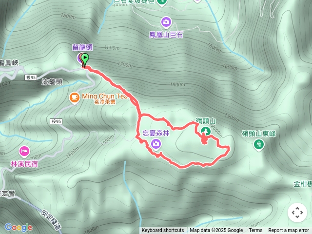嶺頭山忘憂森林