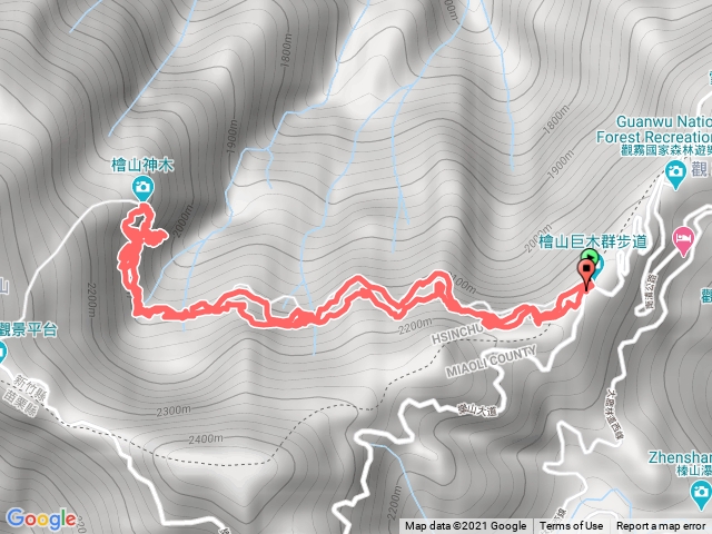 觀霧檜山巨木步道