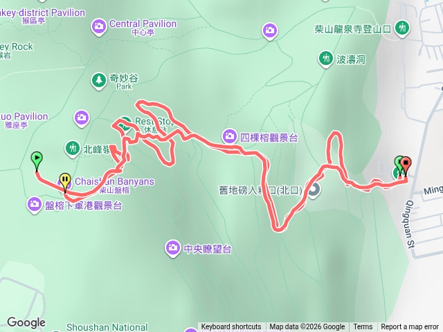 20260712巴威颱風過後的盤榕“悶”預覽圖