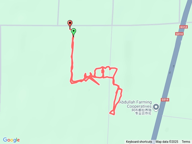 新疆喀什牛羊馬拍賣巿場