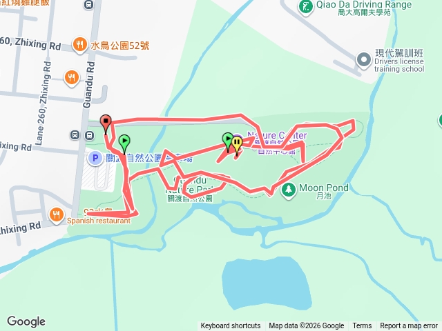 步行篇：關渡自然公園 賞鳥散步