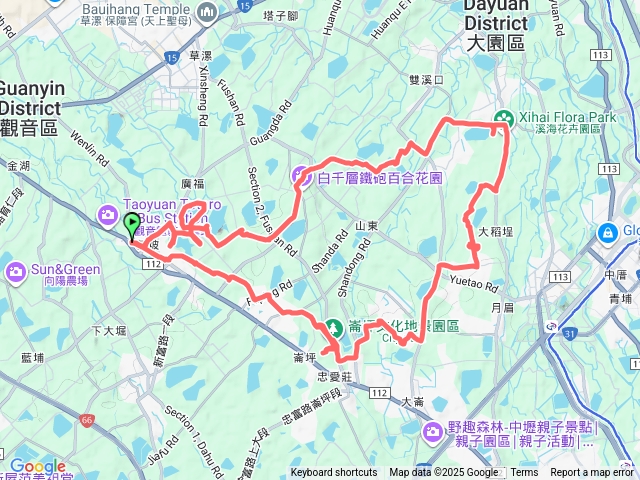 白千層綠色隧道