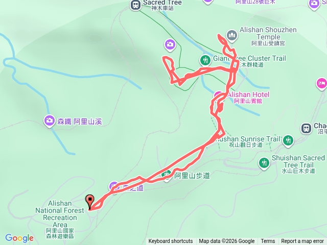 阿里山森之道順走香林巨木受鎮宮夜訪百年吉野櫻王