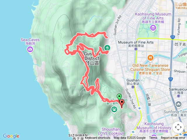 20250606_三進盤榕