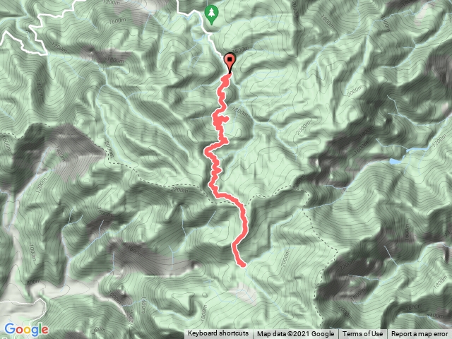 110.8.12水漾森林