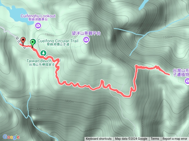 台灣山毛櫸步道預覽圖