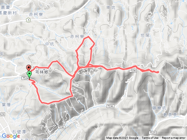 飛鳳山大板根顯伯公