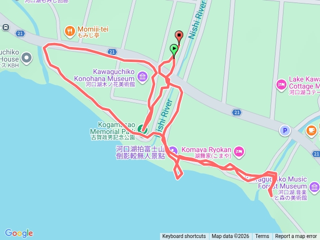 富士山河口湖櫻花季