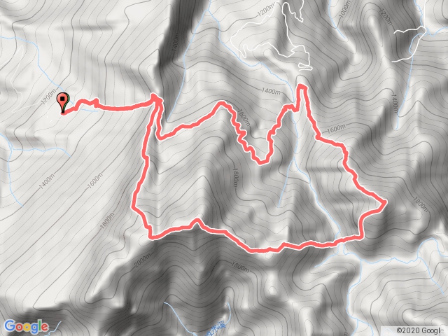 加哈縱走 (加里山、哈堪尼山）O型 （大坪登山口來回）