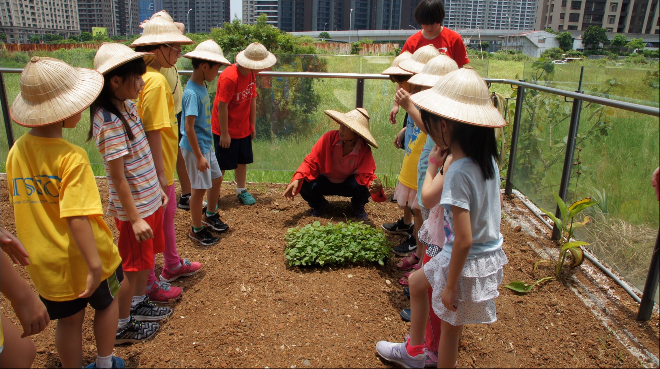 【新聞】給孩子一個農場體驗！淡水運動中心