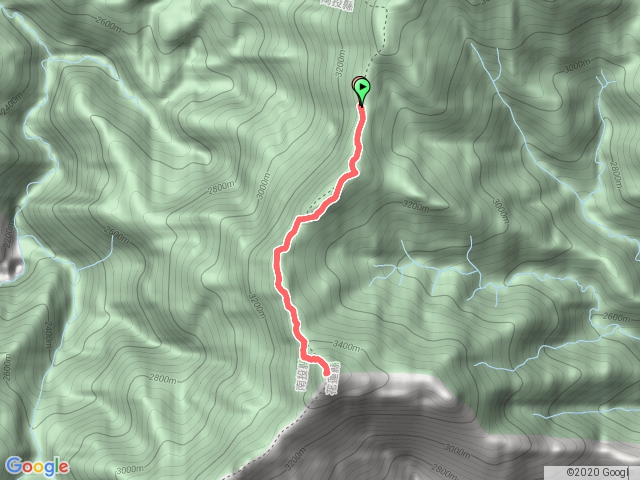 稜線山屋到奇萊主峰