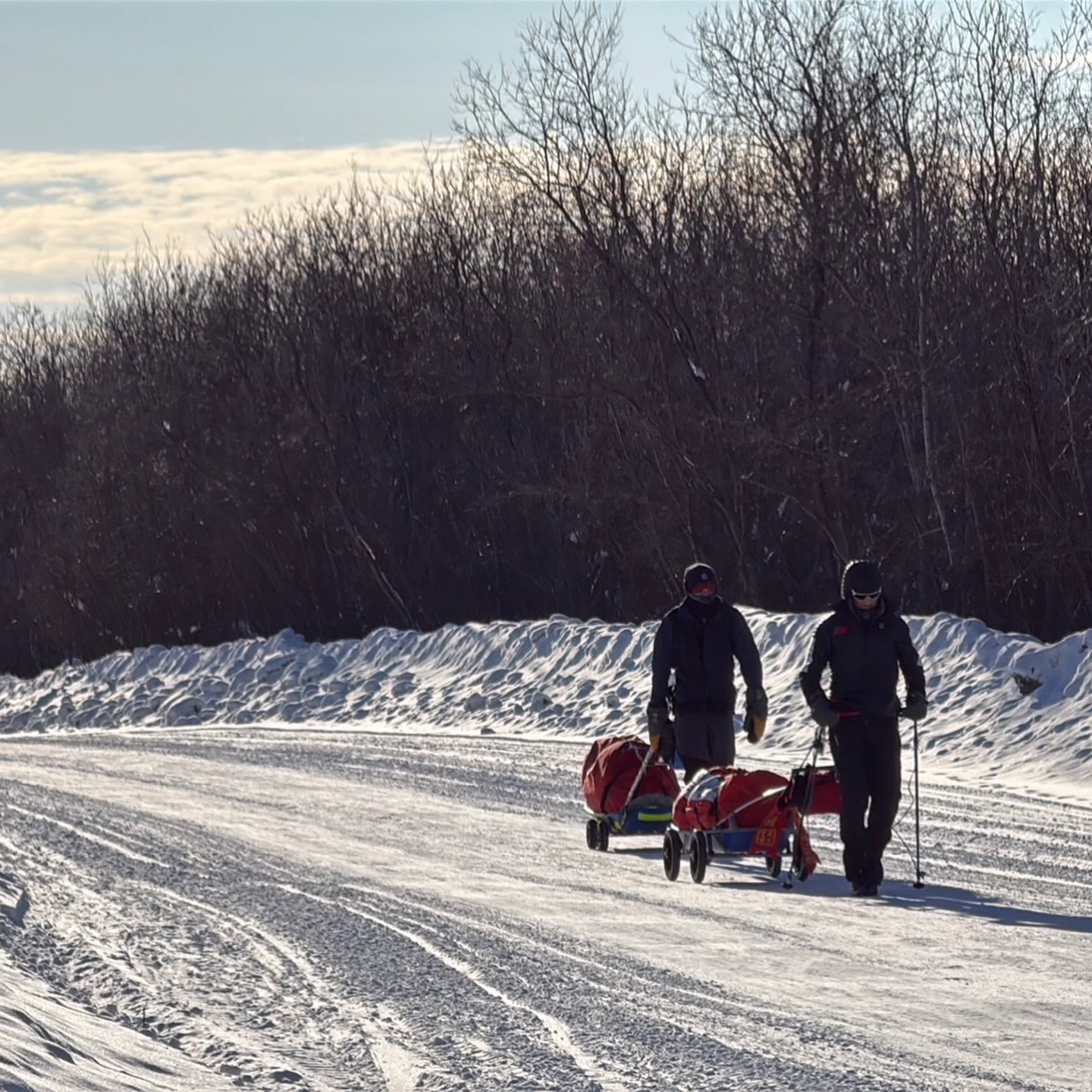 可能是 2 人、大家在玩狗拉雪橇和北極圈的圖像