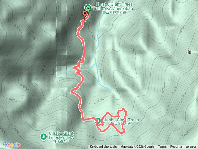 鎮西堡巨木群B預覽圖