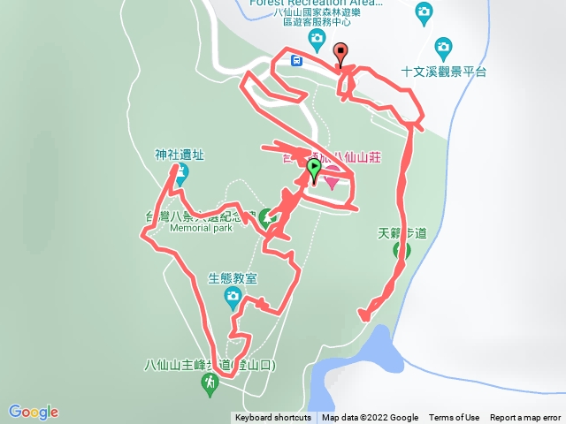 八仙山森林遊樂區內散步