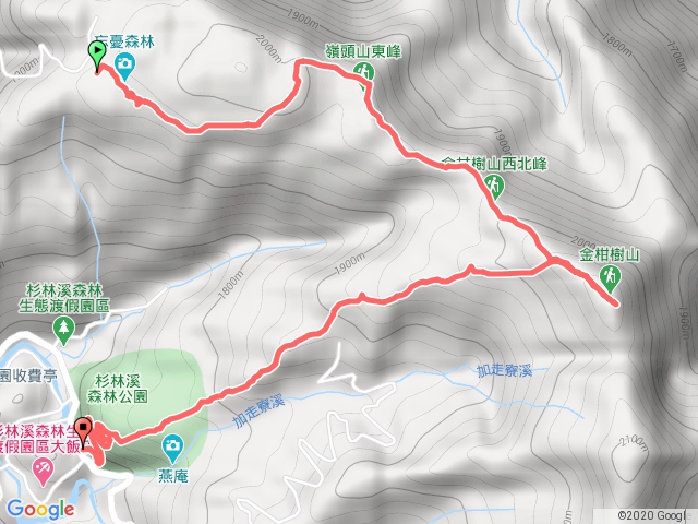 忘憂森林->金柑樹山->杉林溪杜鵑步道->杉林溪紅樓