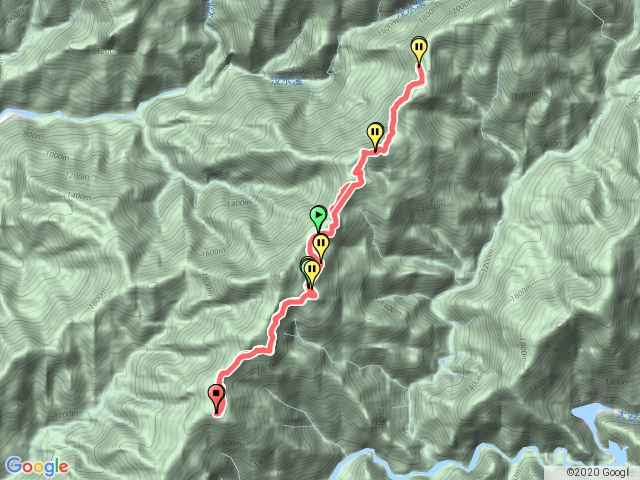 雪見 司馬限林道 北坑山 大板根