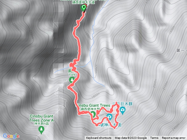 登山小朋友親子團_鎮西堡巨木群B區
