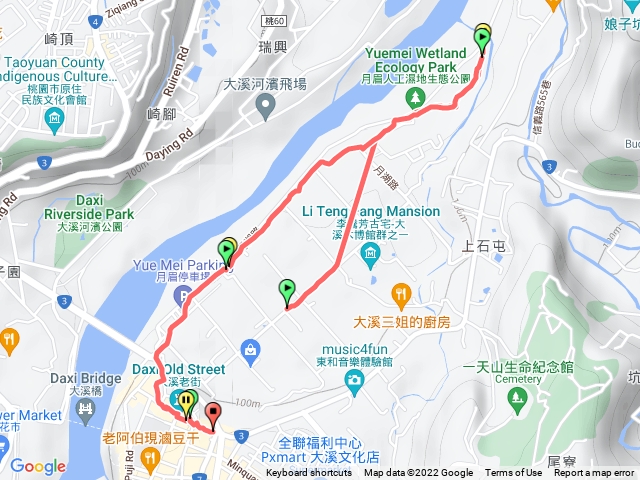 桃園月眉花海 山豬湖落羽松