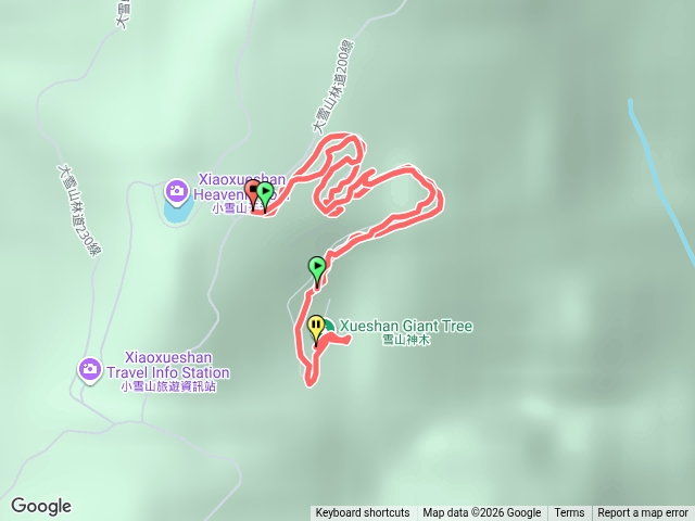 115718大雪山神木