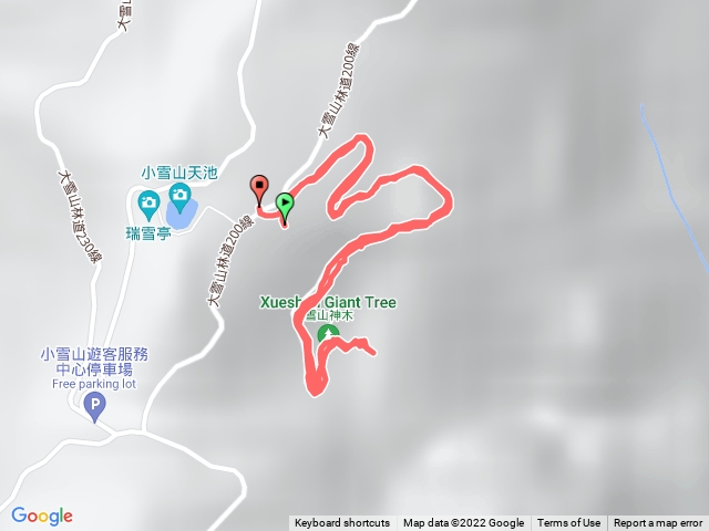 雪山神木步道