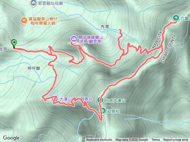 凍九雞