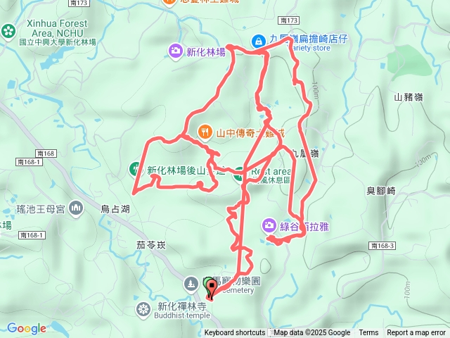 九層塔探巨竹