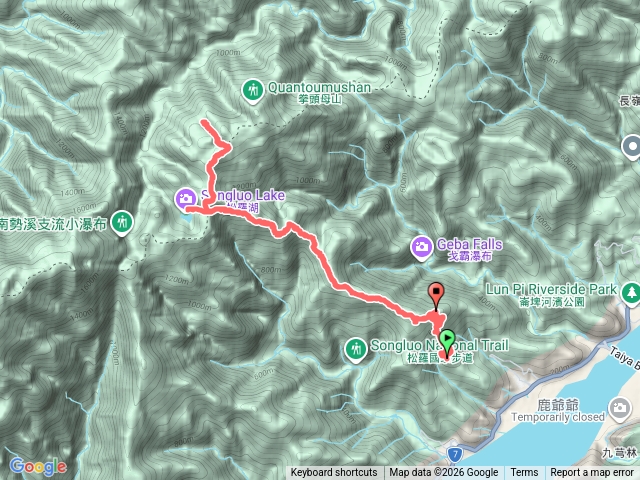 1150204松蘿拳頭姆池預覽圖
