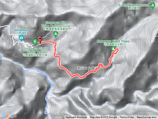 2022.06.28 司馬庫斯 巨木登山步道來回