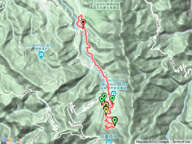 溪頭森林遊樂區