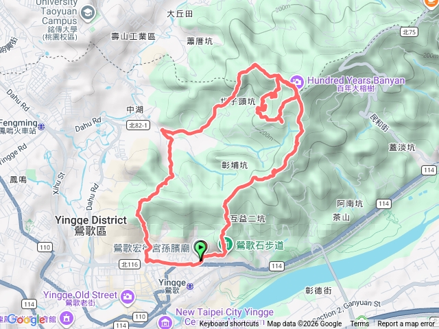 鶯歌16顆百年大榕樹巡禮預覽圖