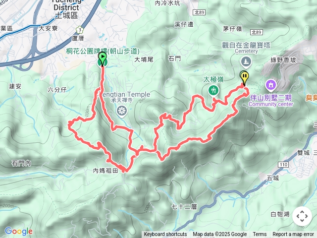 20250501天上山縱走賞桐花(滿開)🌈🌷💕