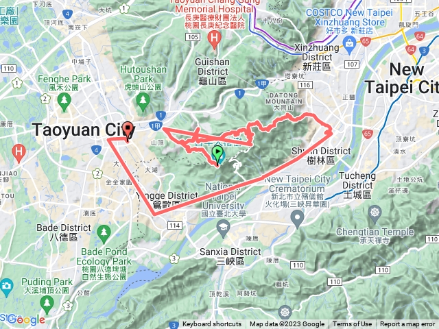 青龍大棟山鶯歌樹林行