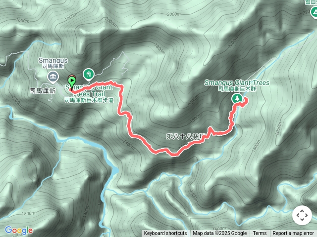 司馬庫斯櫻花園.巨木林.媽媽之樹解鎖成功