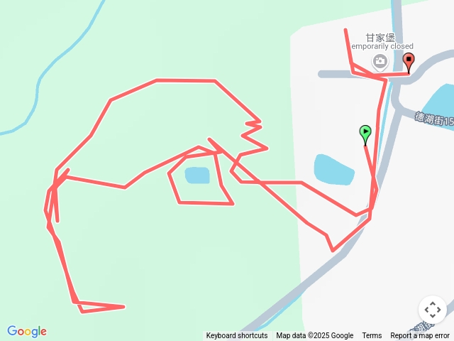 甘家堡欣賞油桐花