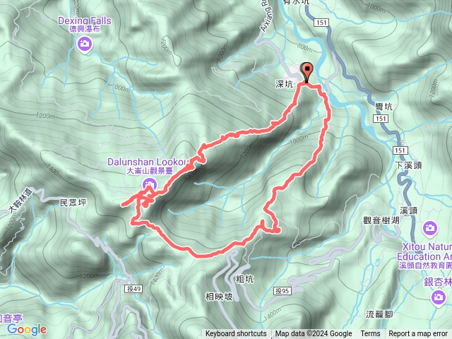 大崙頭山銀杏森林O繞預覽圖