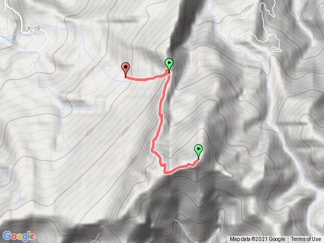 加里山下杜鵑林大坪登山口