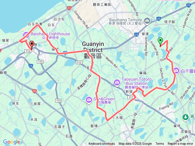 白千層