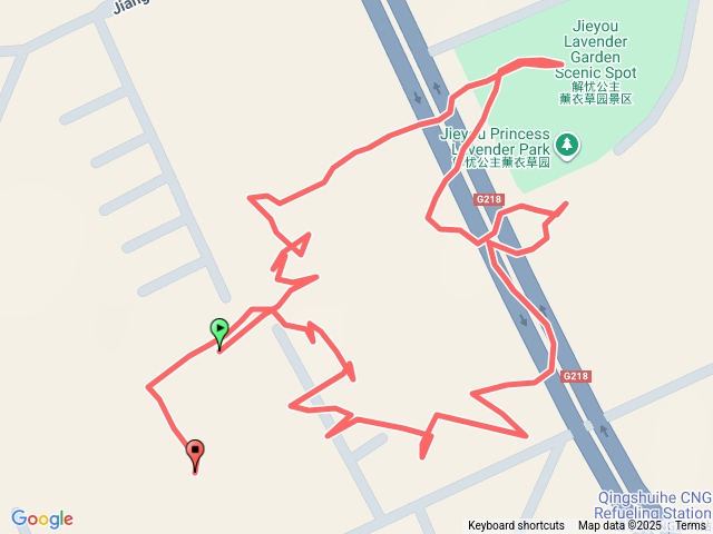 北疆 霍城 解憂公主薰衣草園