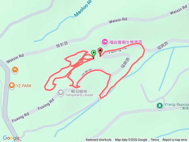 福田賞桐生態園區桐花步道(2026-5-1)預覽圖