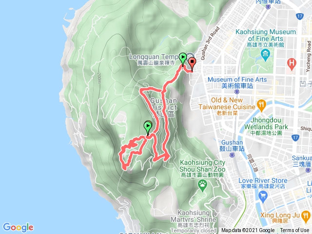 2021020-少女峰和九龍榕