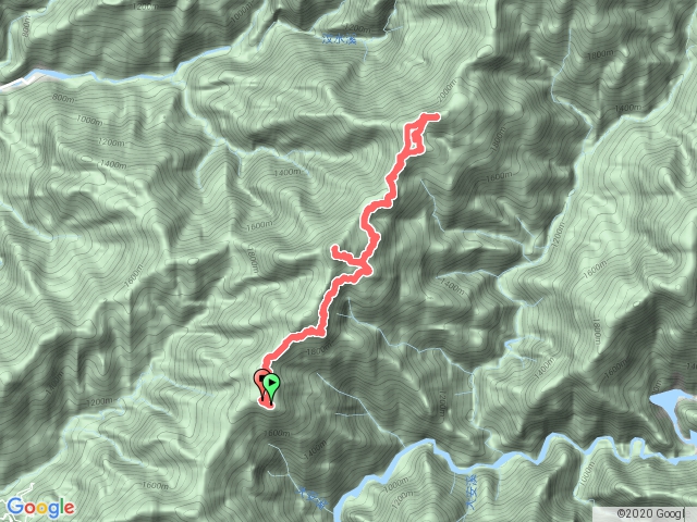 109.06.25北坑山東洗水山(2020.06.25金牌)