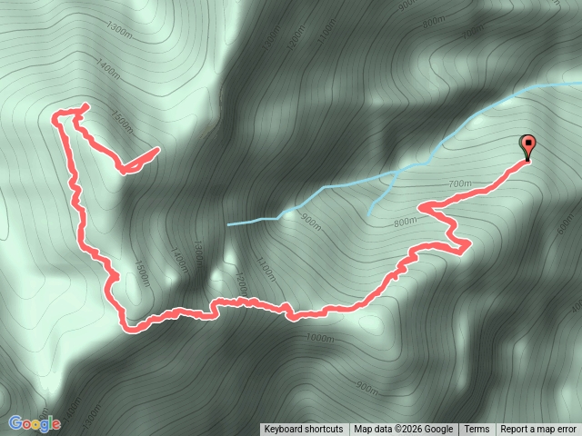 哈崙二號鐵道_柳杉林_南側森林三角點