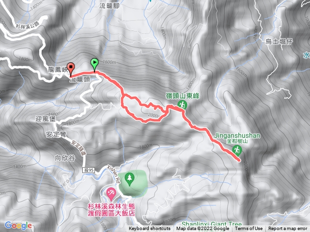 留龍頭.嶺頭山.金柑樹.忘憂森林