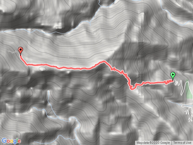 雪山登山口經東峰至369山莊