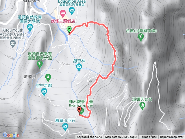 溪頭賞鳥步道接神木U型走