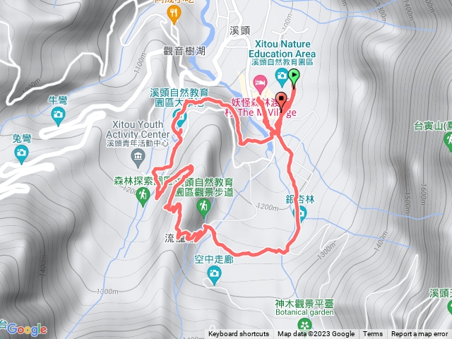 溪頭森林步道銀杏步道