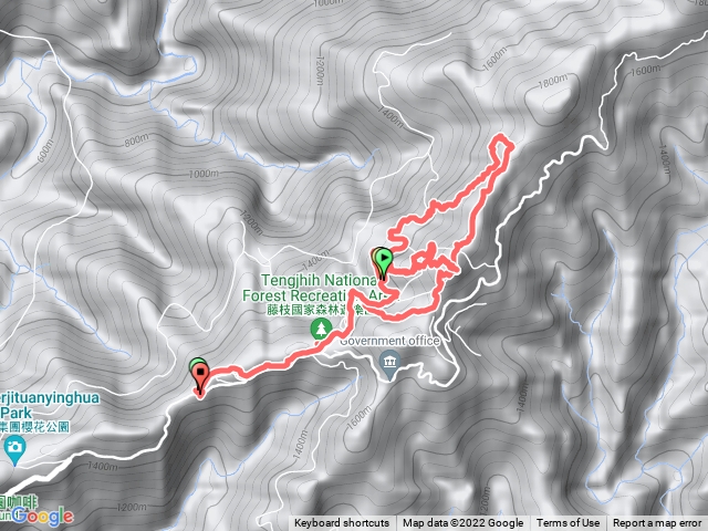 18K-藤枝(秋海棠-雲杉來回-西施花）
