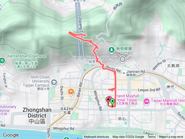 美麗華夜景預覽圖