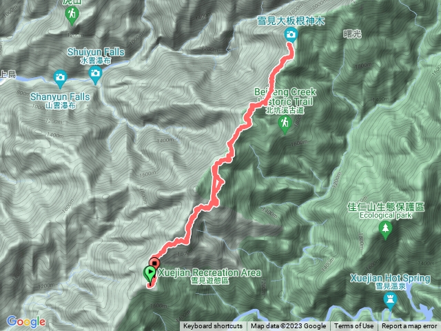 司馬限林道 大板根